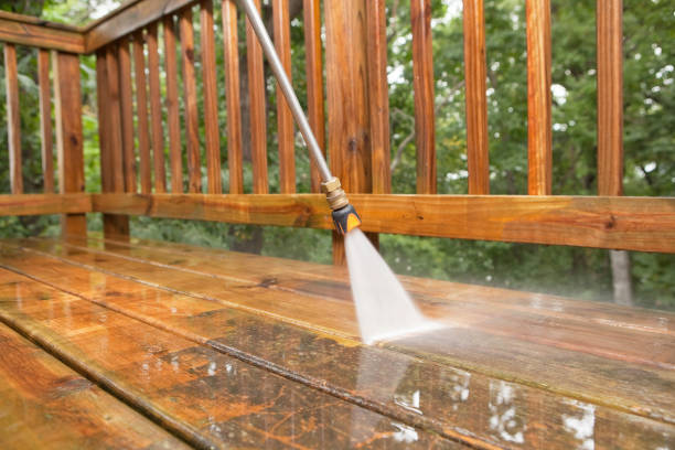 Best Driveway Pressure Washing  in Pinch, WV