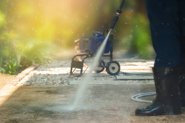 Best Driveway Pressure Washing  in Pinch, WV